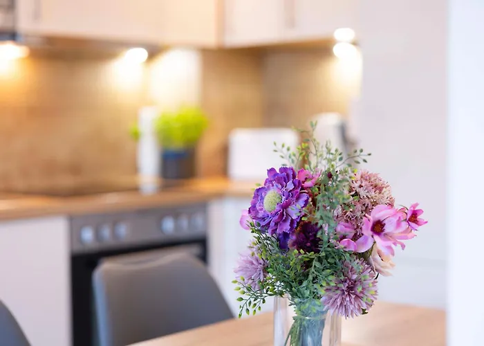 Dkk1c Mole 1 Niendorf (Timmendorfer Strand)